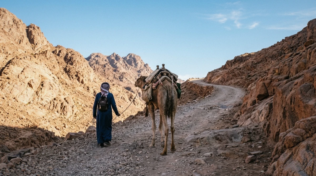 A camel guide waiting at the base of the 750 steps on the Mount Sinai climb near St Catherine's Monastery in Egypt